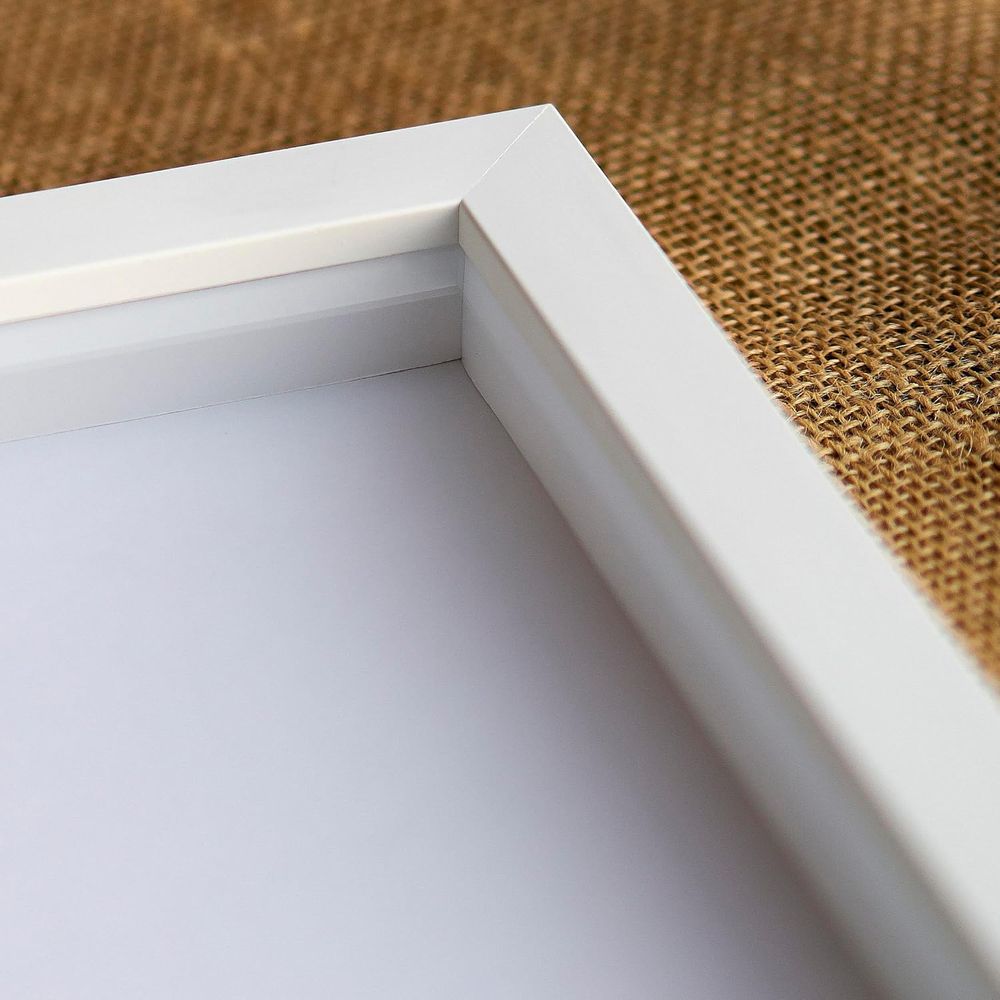 14x50 Solid Wood Display Case  - Display Case Acrylic recensione e prezzo