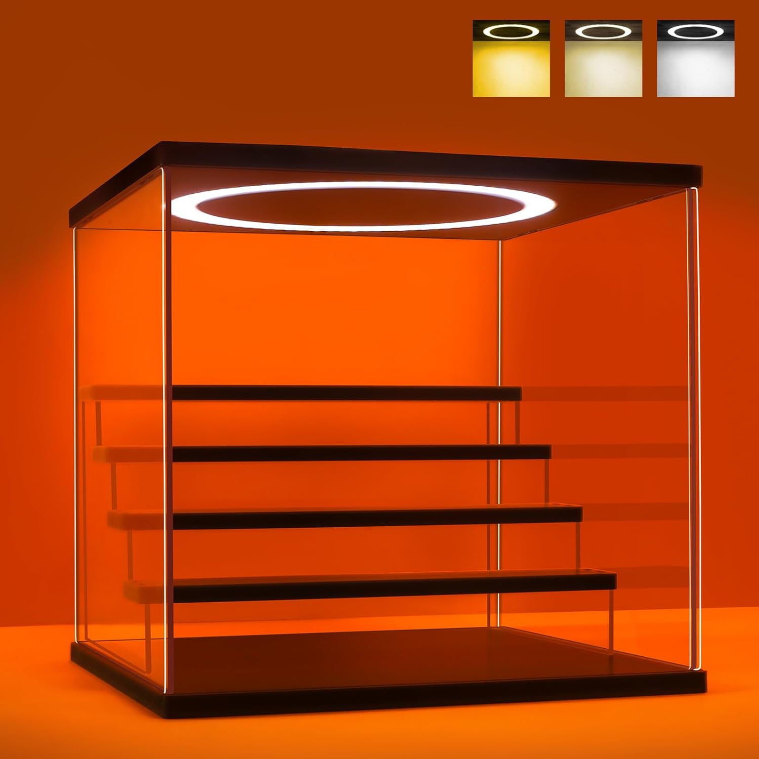 Acrylic Display Case with Adju - Display Case Acrylic recensione e prezzo