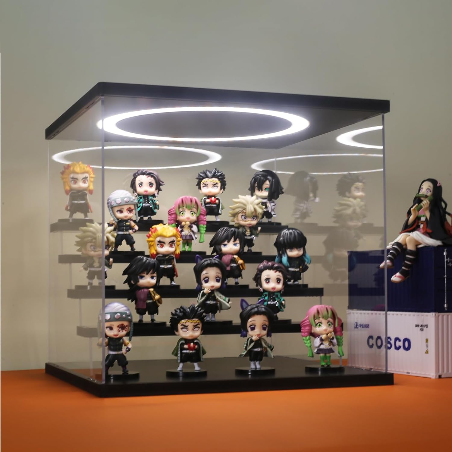 Acrylic Display Case with Adju - Display Case Acrylic recensione e prezzo